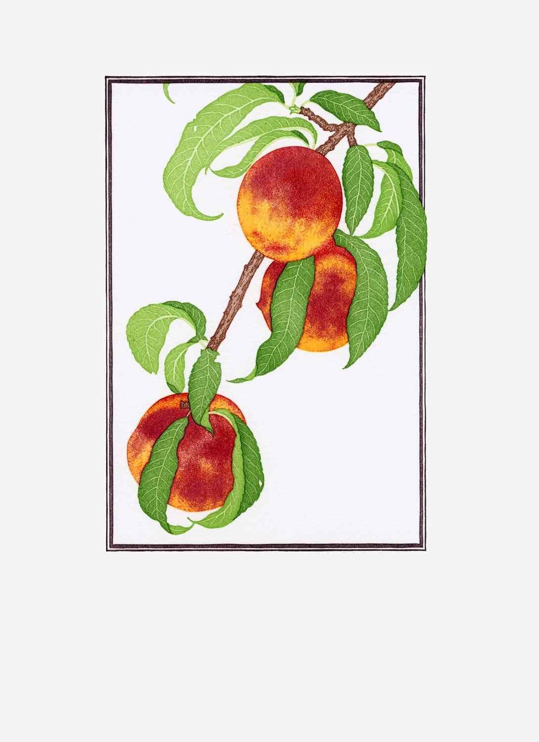 Fruit Prints — Patricia Curtan